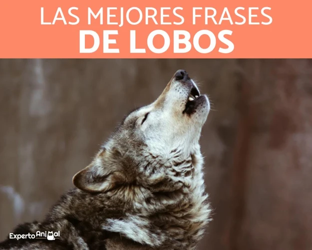 Cómo Superar El Miedo A Los Sueños De Lobos