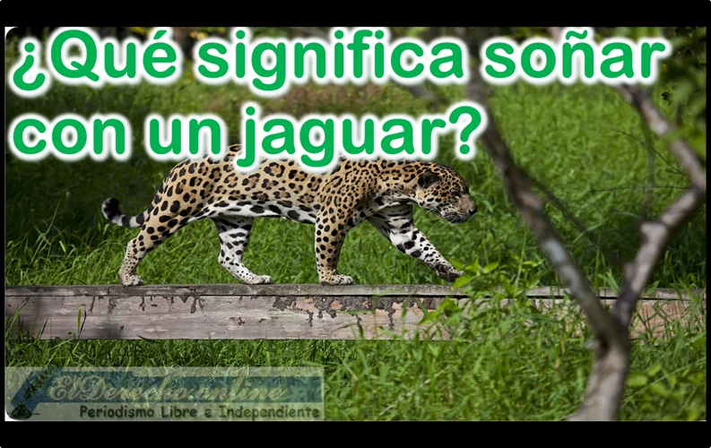 El Jaguar Como Símbolo