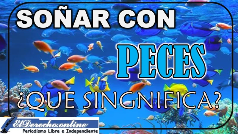 El Significado Del Agua En Los Sueños Con Peces