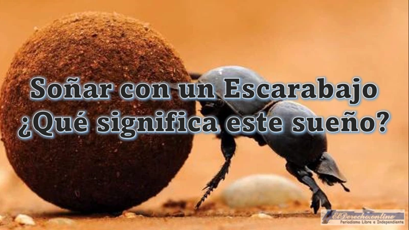 Interpretaciones Comunes De Soñar Con Un Escarabajo Dentro Del Cuerpo