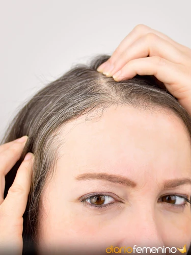 Interpretaciones De Soñar Con Arañas Enredadas En Tu Cabello