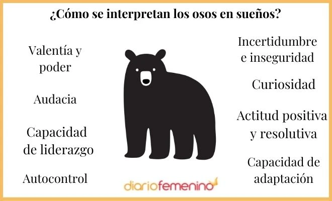 La Relación Entre Los Sueños De Osos Y Las Emociones Reprimidas