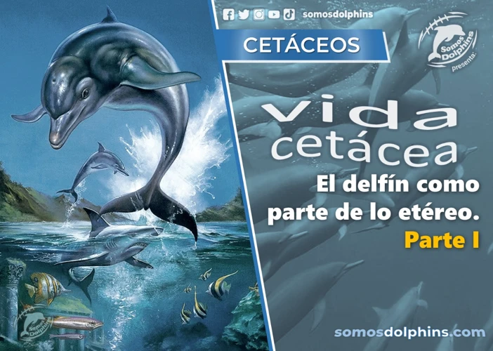 Los Delfines En La Cultura Y Simbología