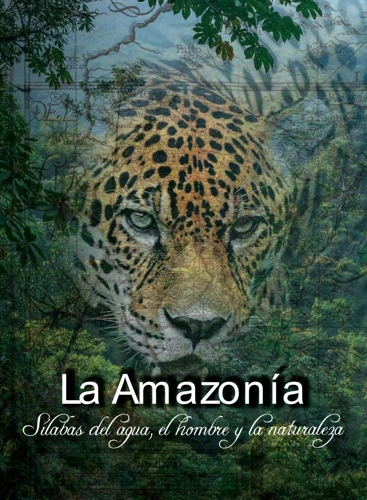 ¿Por Qué Soñamos Con Jaguares En La Selva?
