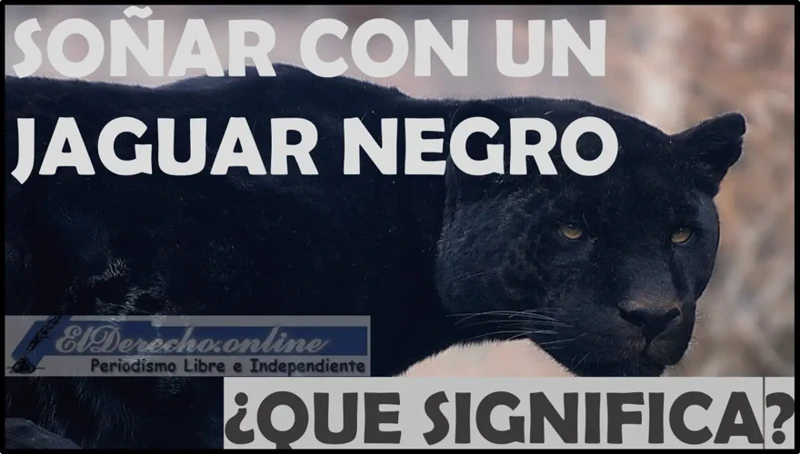 ¿Qué Significa Soñar Con Un Jaguar Negro?