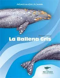 Qué Significa Soñar Con Una Ballena