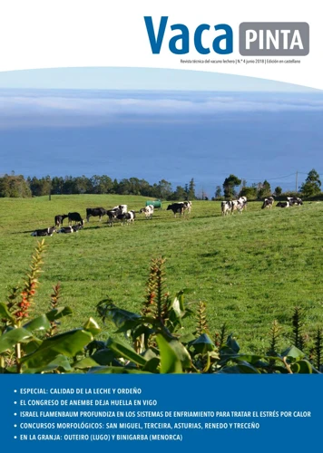 Situaciones Específicas De Sueños Con Vacas Lecheras